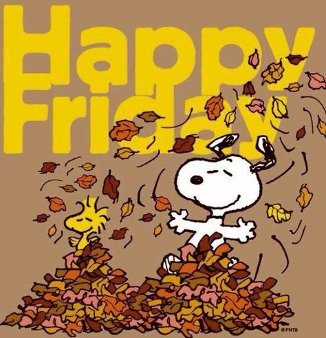 Snoopy Happy Fall Friday Snoopy Friday, Happy Friday Pictures, Good Morning Snoopy, Friday Pictures, Friday Images, Woodstock Peanuts, Good Morning Happy Friday, Happy Friday Quotes, Snoopy Images