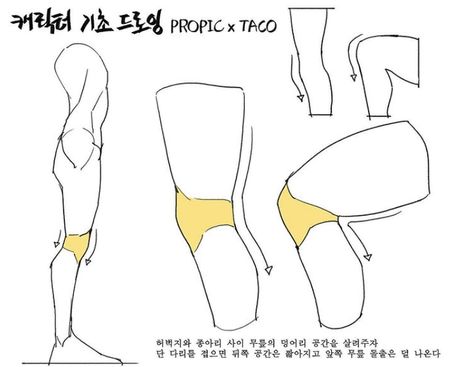 Keep a distance between the thigh and the calf (the knee). However, when the leg is folded, the distance becomes shorter and the knee protrudes less Taco Drawing, Anatomy References, Drawing Legs, Anatomy Tutorial, Human Anatomy Drawing, Human Anatomy Art, Anatomy For Artists, Body Reference Drawing, Art Manga