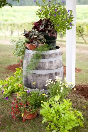 Garden-Vineyard-Barrel-Decor. Love the natural plants for decor. Winery Patio, Winery Wedding Centerpieces, Wine Barrel Garden, French Themed Wedding, Wine Barrel Table, Wine Barrel Furniture, Barrel Decor, New Hampshire Wedding, Wine Country Wedding