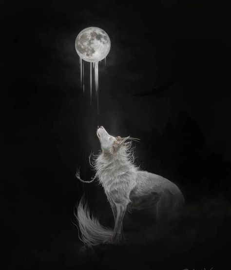 Looking At The Moon, Wolf And Moon, House Of Wolves, Wolf Illustration, Wolf Images, Wolf Artwork, Fantasy Wolf, She Wolf, Wolf Love