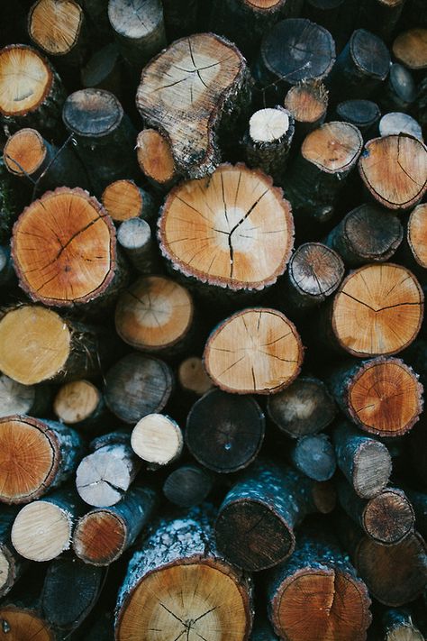 I love the natural texture of these logs. Together the logs create a rustic and unified message. Collars Diy, Tree Collar, Texture Photography, Autumn 2024, Fall Pictures, Natural Forms, Color Textures, Natural Texture, Textures Patterns