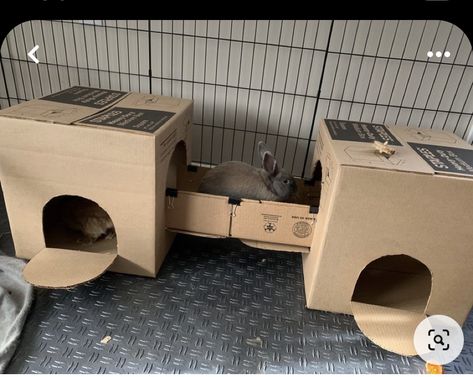 Diy Bunny House Cardboard, Bunny Diy Cage, Diy Rabbit House Cardboard, Cardboard House For Rabbits, Rabbit Ideas Diy, Diy Bunny Accessories, Diy Bunny Furniture, Bunny Box Diy, Bunny Hideout Diy Cardboard