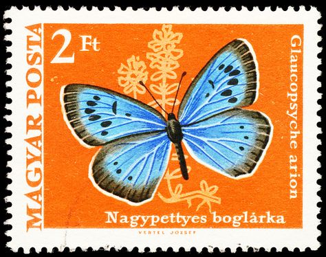 Blue butterfly stamp hungary 1969 thymianheiden-bläuling glaucopsyche arion - via Bernd Kirschner on Flickr https://flic.kr/p/76QpNY | Vintage Stamps Postage, Bridge Tally Cards, Commemorative Stamps, Laptop Backgrounds, Butterfly Stamp, Postage Stamp Art, Vintage Postage Stamps, Letter Stamps, Stamp Printing