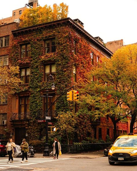 Ibroxim on Instagram: “Crisp Mornings in Gramercy 🍂” Nyc Fall, New York Aesthetic, Fallen Leaves, Ny City, Greenwich Village, Urban Living, Autumn Season, Autumn Aesthetic, New York Travel