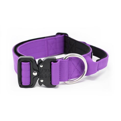 Dog Collars & Leashes, Purple Dog Aesthetic, Protection Dogs, Purple Dog, Waterfalls Backyard, Dog Things, Green Suit, Dog Gear, Service Dogs