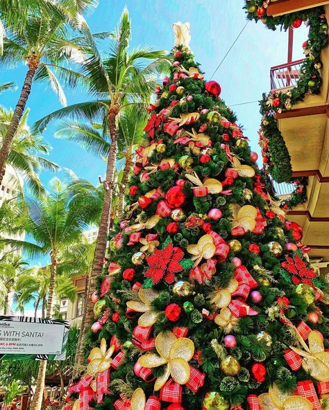 Christmas In Hawaii Aesthetic, Tropical Christmas Wallpaper, Christmas Luau, Tiki Christmas, Christmas In Hawaii, Palm Tree Background, Island Christmas, Hawaii Christmas, Hawaii Honolulu