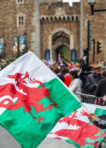 Welsh Aesthetic, Battle Of Bosworth Field, The Welsh Dragon, Welsh Ancestry, Learn Welsh, Wales Flag, Welsh Flag, Welsh Language, Welsh Rugby