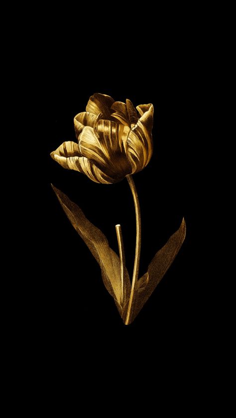 Black Gold Aesthetic, Tulip Photography, Black And Gold Aesthetic, Iphone Wallpaper Iphone, Wallpaper Iphone Aesthetic, Gold Wallpaper Iphone, Book Cover Template, Ebook Design, Beauty Logo Design