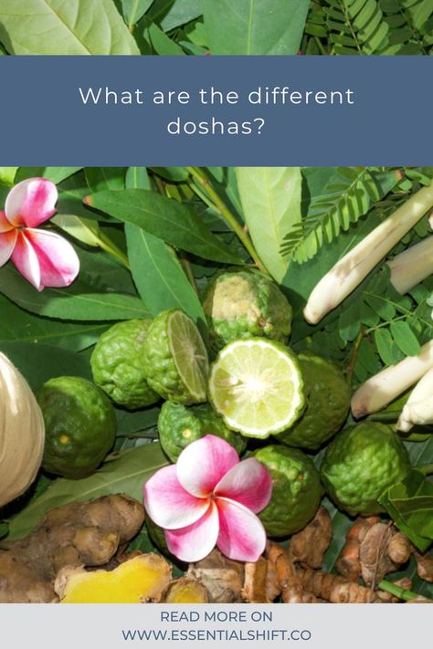 When we look at Ayurveda, we tend to limit it to the individual constitutional types known as doshas: Kapha, pita and Vata. Pita Dosha, Pitta Dosha, Ayurvedic Medicine, Body And Mind, Holistic Wellness, Traditional Indian, Pita, Ayurveda, The Body