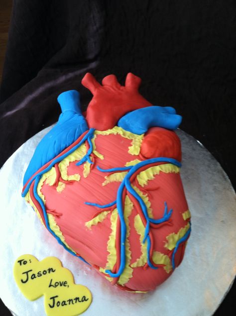 Anatomical heart cake Science Project Models, Brain Cake, Life Hacks Cooking, Zombie Cake, Human Body Science, Heart Cakes, Heart Projects, Heart Shaped Cakes, Shaped Cake