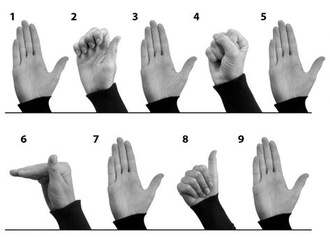 Tendon glide exercises for hand and wrist improve flow of tendon through the carpal tunnel helping to reduce overuse injuries. Wrist Exercises Strength, Carpal Tunnel Relief Exercises, Hand Therapy Exercises, Carpal Tunnel Exercises, Carpal Tunnel Relief, Hand Strengthening, Wrist Exercises, Finger Exercises, Neck Exercises