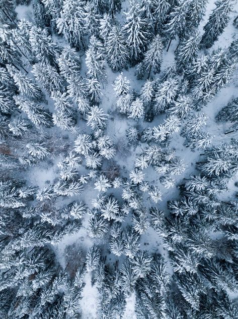 aerial photography of trees Icy Background, Free Winter Wallpaper, Ipad Pro Wallpaper, Ipad Photo, Ipad Background, Wallpaper Ipad, Iphone Homescreen Wallpaper, Winter Wallpaper, Wallpaper For Your Phone