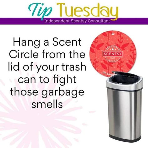 Tuesday Scentsy, Scentsy Hacks, Scent Circles, Best Car Air Freshener, Scentsy Marketing, Scent Garden, Scentsy Consultant Ideas, Scentsy Party, Tip Tuesday