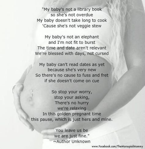 Wow! A poem about baby's due date and the pressure people put on women to hurry up and get that baby out. #pregnancy #birth Overdue Pregnancy, Pregnancy Poem, Birth Quotes, Baby Poems, Pregnancy Affirmations, Cute Pregnancy Announcement, Baby Due Date, Birth Affirmations, Natural Pregnancy