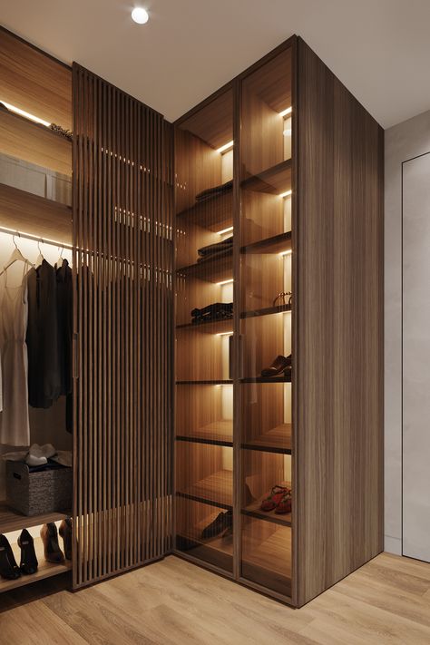 Aesthetic Wardrobe Closet, Wood Wardrobe Design, Modern Wardrobe Design, Wardrobe Organization, Aesthetic Wardrobe, Wardrobe Aesthetic, Wardrobe Design Modern, Glass Closet, Armoire Dressing