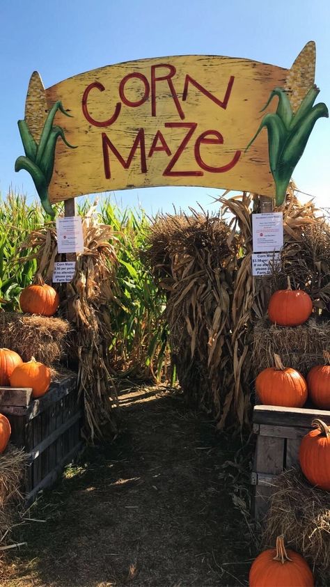 Fall Planning, Fall Dates, Fall Bucket List, Corn Maze, Pumpkin Spice Season, Cozy Season, Season Of The Witch, Fall Inspo, Fall Is Here