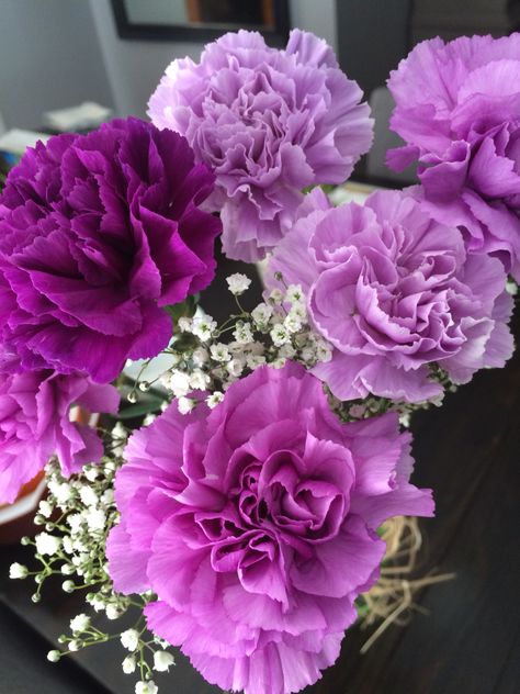 Purple carnations Purple Carnations Aesthetic, Carnation Flower Purple, Beautiful Carnations, Carnation Plants, Purple Carnations, Purple Flowers Garden, Garden Flower Beds, Boquette Flowers, Carnation Flower