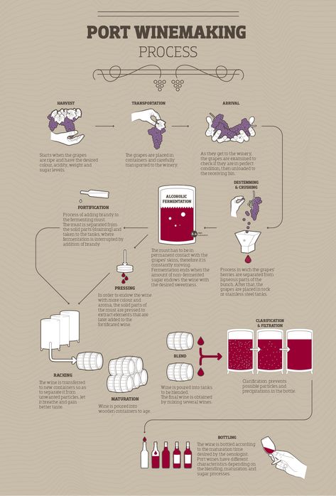 Wine Cheat Sheet, Wine Infographic, Wine Making Process, Wine 101, Wine Folly, Portuguese Wine, Wine Flavors, Wine Map, Wine Knowledge