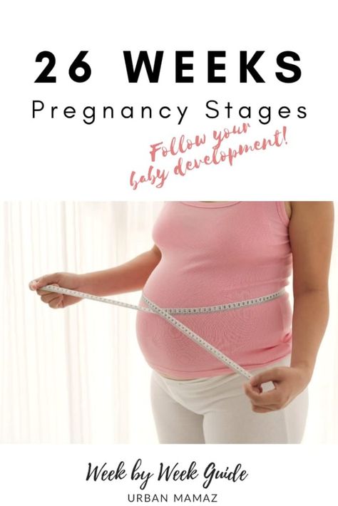 Pregnancy guide - 26 weeks. Are you pregnant? Wondering how is your baby developing? Discover your baby and pregnancy development - Week by week pregnancy guide- pregnancy trimesters, all the pregnancy stages- click here to read about 26 weeks pregnancy》 Pregnancy Trimesters, Pregnancy Development, Body Changes During Pregnancy, Week By Week Pregnancy, Diet While Pregnant, 26 Weeks Pregnant, Pregnancy Help, Pregnancy Hormones, Pregnancy Guide