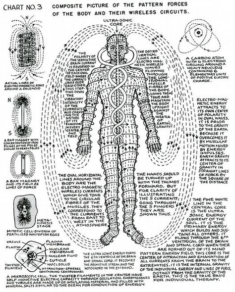 Polarity Therapy, Sacred Science, Spirit Science, Energy Medicine, Body Energy, Healing Modalities, Ancient Knowledge, Les Chakras, Chakra Meditation