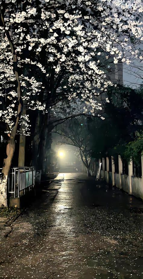 Aesthetic Landscape Wallpaper, Asian Aesthetic, View Wallpaper, Cute Tumblr Wallpaper, Japan Aesthetic, Wall Papers, Tree Wallpaper, Aesthetic Pics, Dark Photography