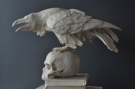 Crow Wood Carving, Skull Study, Crow Art, Inspiration Images, Raven Art, Raven Skull, Crows Ravens, Golden Boy, Tattoo Project