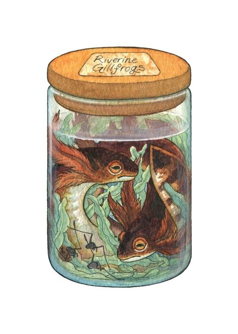 Mythical Creatures Art, Creature Concept Art, Creature Concept, In A Jar, Fantasy Inspiration, Magical Creatures, Bottle Art, Creature Design, Creature Art