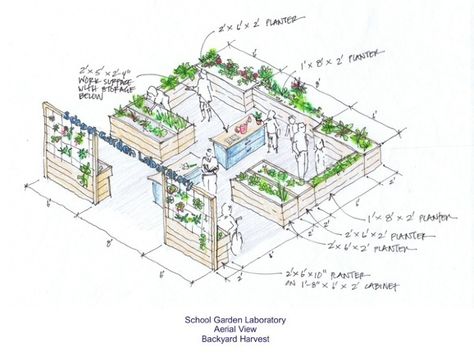 Project: Design a School Garden Winners Announced! | Environment on GOOD Raised Bed Garden Layout, Garden Planning Layout, Garden Layout Vegetable, Garden Drawing, Garden Design Layout, Garden Arbor, Garden Design Plans, School Garden, Vegetable Garden Design