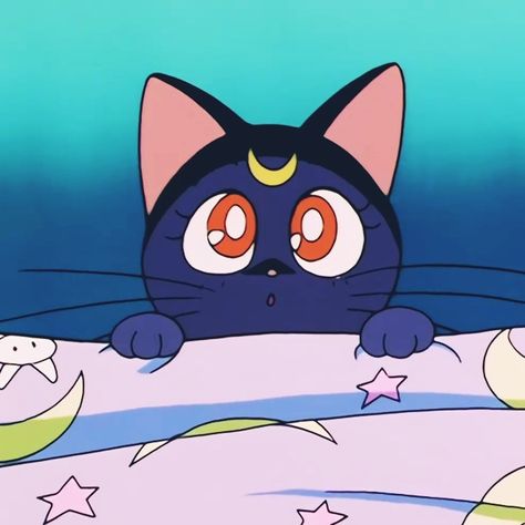 Sailor Moon 1992, Sailor Moon Anime, Sailor Moon Luna, Moon Luna, Sailor Moon, Anime Icons, Black Cat, Moon, Anime