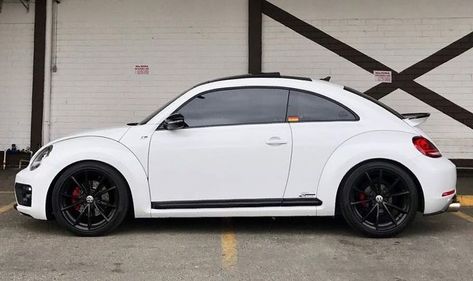 Pin by Stephanie Nicolle on Euro Cars | Vw new beetle, Beetle car, Volkswagen beetle convertible Beetle Car Volkswagen, Beetle Modified, White Volkswagen Beetle, Wv Beetle, White Volkswagen, Beetle 2012, Vw Ideas, Volkswagen Beetle Convertible, Vw New Beetle