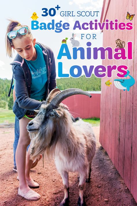 Furred or feathered, small or large, animals make our lives a little more bearable. Here are 30+ activities to help your Girl Scout earn her animal-related badges (and celebrate National Pet Month, too)! Animal Habitat Badge For Juniors, Girlscout Brownies, Junior Girl Scouts Activities, Brownie Activities, Scouts Badges, Scouting Activities, Girl Scout Brownie Badges, Girl Scout Mom, Girl Scout Troop Leader