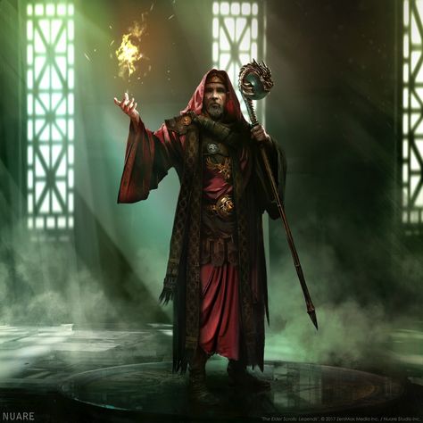 ArtStation - Chanter of Akatosh, Nuare Studio Npc Rpg, Arcane Magic, Ars Magica, Magic User, Magia Elemental, Npc Ideas, Elder Scrolls Art, Elder Scrolls Skyrim, Fantasy Wizard