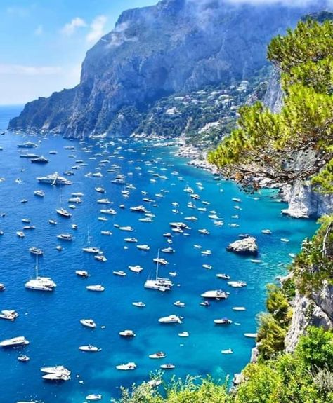 Lista 104+ Imagen Isla De Capri En Italia Mirada Tensa