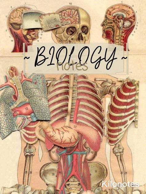 Biology notebook cover page Biology Journal Cover, College Notebook Cover, Biology Goodnotes Cover, Aesthetic School Binder Cover Ideas, Biology Notebook Cover Aesthetic, Science Goodnotes Cover, Goodnotes Notebook Cover Biology, Biology Notion Cover, Biology Notes Cover