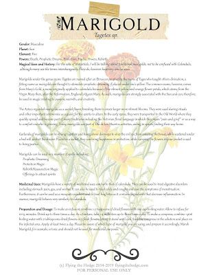 Magical and Medicinal Uses of Marigold. Includes FREE BOS page! Respecting Others, Magickal Herbs, Witch Herbs, Magic Herbs, Magical Herbs, Healing Plants, Psychic Powers, Herbal Magic, Healing Herbs