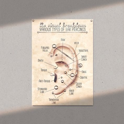 Ear Piercings Placement Chart, Ear Piercing Chart, Ear Piercing Names, Piercings Chart, Infographic Chart, Different Ear Piercings, Ear Peircings, Ear Piercings Chart, Piercing Chart