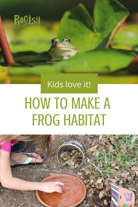 Diy Toad House How To Make, Outdoor Frog House, Frog Houses Diy, Toad Pond Diy, Frog Sanctuary Diy, Tree Frog Habitat Outdoor, Toad Homes Garden Ideas, Frog House Diy How To Make, Frog Pond Diy