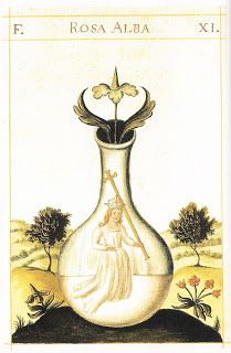 In alchemy, Albedo is one of the 4 major stages of the magnum opus; along with nigredo, citrinitas and rubedo. It is a Latin term meaning "whiteness." Following the chaos or massa confusa of the nigredo stage, the alchemist undertakes a Purification in Abedo, which is literally referred to as ablutio – the washing away of impurities. In this process, subject is divided into two opposing principles to be later coagulated to form a unity of opposites or coincidentia oppositorum during Rubedo. Alchemy Art, Philosophers Stone, Alchemy Symbols, Esoteric Art, Magnum Opus, Mystical Art, Color Rojo, Illuminated Manuscript, Memento Mori