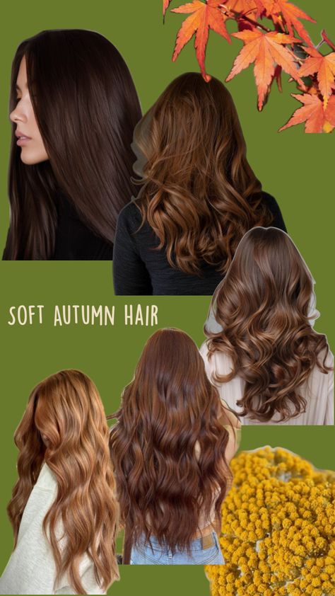 Soft autumn color palette hair inspo Autumn Color Palette Hair, Warm Undertone Hair Color, Color Palette Hair, Soft Autumn Hair, Palette Hair Color, Soft Hair Color, Soft Autumn Palette, Hairstyles Elegant, Colors For Brunettes