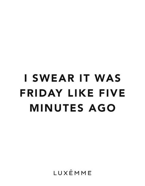 Monday?                                                                                                                                                                                 More Fun Weekend Quotes, Monday Humor Quotes, Sunday Quotes Funny, Snarky Quotes, Friday Quotes Funny, Weekday Quotes, Weekend Quotes, Monday Humor, Fina Ord