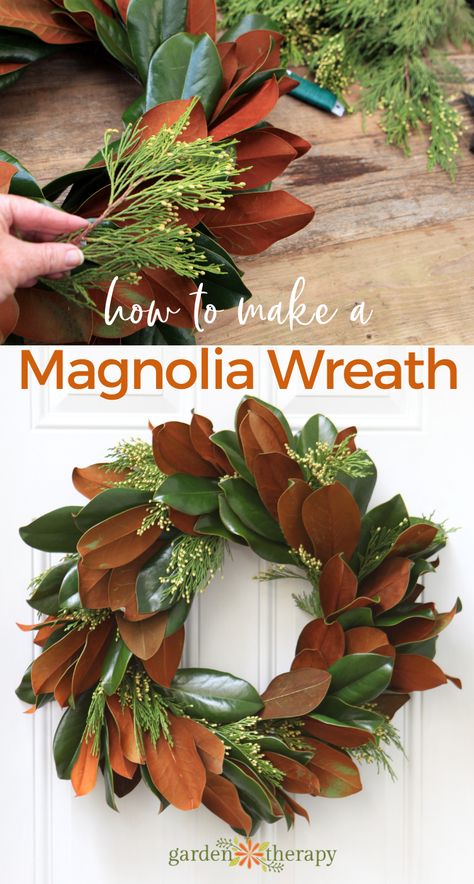 Diy Magnolia Wreath, Diy Leaf, Leaves Diy, Magnolia Leaf Wreath, Make Your Own Wreath, Magnolia Grandiflora, Garden Therapy, Christmas House Lights, Magnolia Wreath