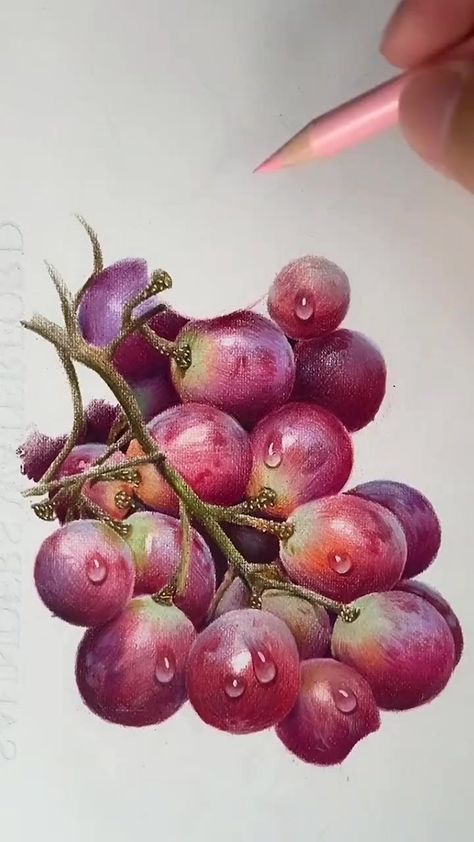 Pencil Colour Painting, Fruit Art Drawings, Colored Pencil Art Projects, Prismacolor Art, Desain Quilling, Colored Pencil Artwork, Colored Pencil Techniques, Painting Art Lesson, Fruit Painting