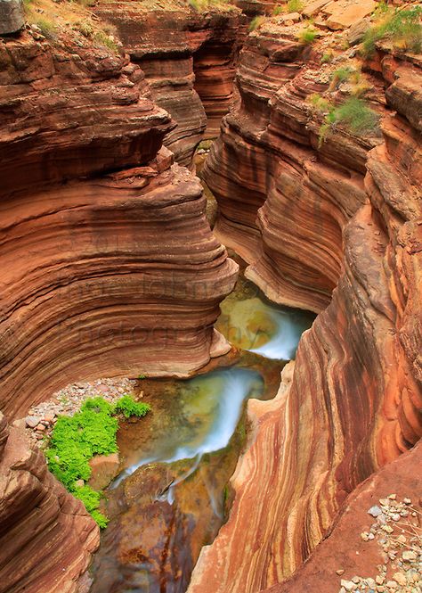 Deer Creek, Slot Canyon, Grand Canyon Environment References, Majestic Landscape, Deer Creek, Pretty Nature, Geology Rocks, Slot Canyon, Gorgeous Scenery, Southwest Desert, Arizona Usa