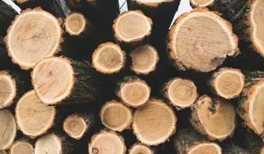 Modern Agriculture, Carpenter Bee, Wood Pile, Tree Rings, Learn Woodworking, Tree Trunks, Timber House, Building A Deck, Outdoor Fire