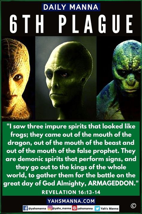 Reptilian People, Revelation Study, Revelation 16, Revelation Bible Study, Revelation Bible, End Times Prophecy, Sacred Scripture, Alien Invasion, Bible History