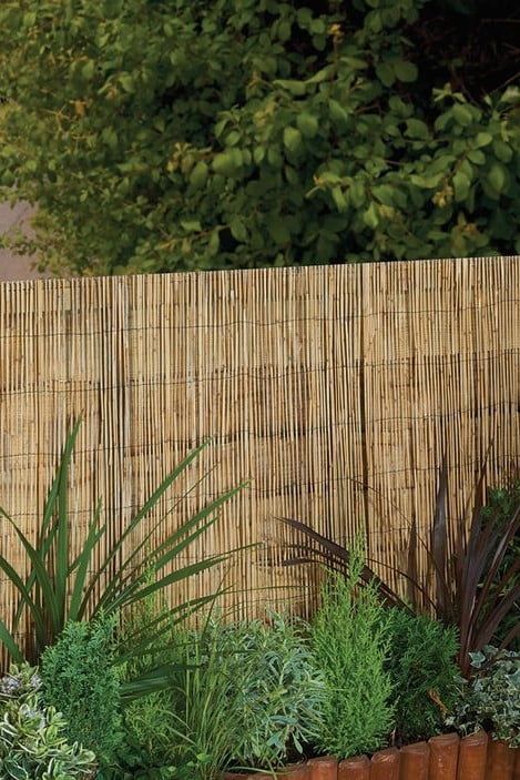 Fence Bamboo Ideas, Painted Bamboo Fence, Bamboo Wall Garden, Reed Fencing Ideas, Reed Ceiling, Bamboo Screen Garden, Bamboo Garden Fence, Bamboo Fence Ideas, Natural Fencing