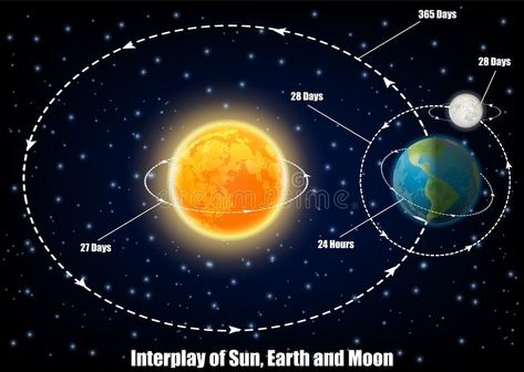 Interplay of Sun, Earth and Moon, vector educational poster royalty free illustration Physics Mechanics, Earth Sun And Moon, Earth Gravity, Science Models, Moon Orbit, Astronomy Facts, Astronomy Science, Moon Vector, Teaching Plan