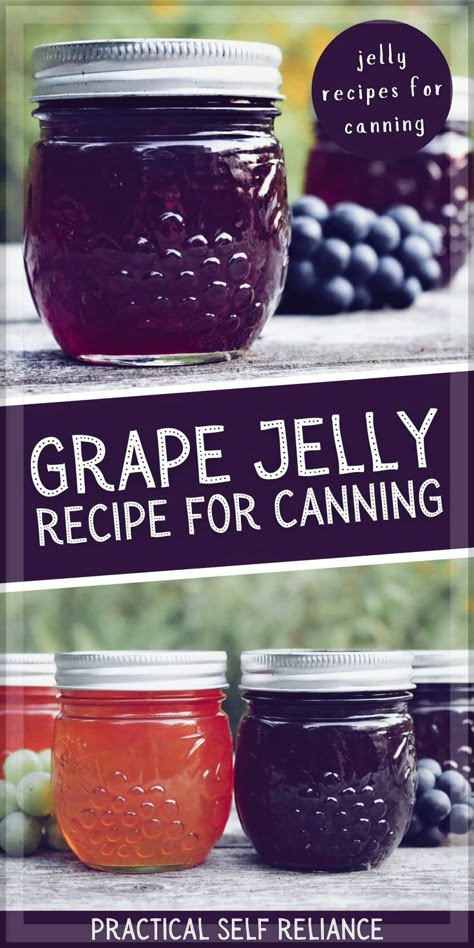 Grape Jelly Recipe for Canning: Jelly Recipes for Canning - If you're looking for grape jelly recipes for canning, you'll love this homemade grape jelly. Learn how to make homemade grape jelly from fresh grapes or grape juice, pectin, and sugar. Incudes easy, step by step instructions for canning! Grape Jelly For Canning, Concord Grape Jelly Recipe Canning, Grape Jelly With Pectin, Canned Grape Jelly Recipes, Grape Jelly Recipe Homemade No Pectin, Grape Jelly Recipe With Sure Jell, Grape Jelly No Pectin, Homemade Grape Jelly From Grapes, Grape Preserves Recipe