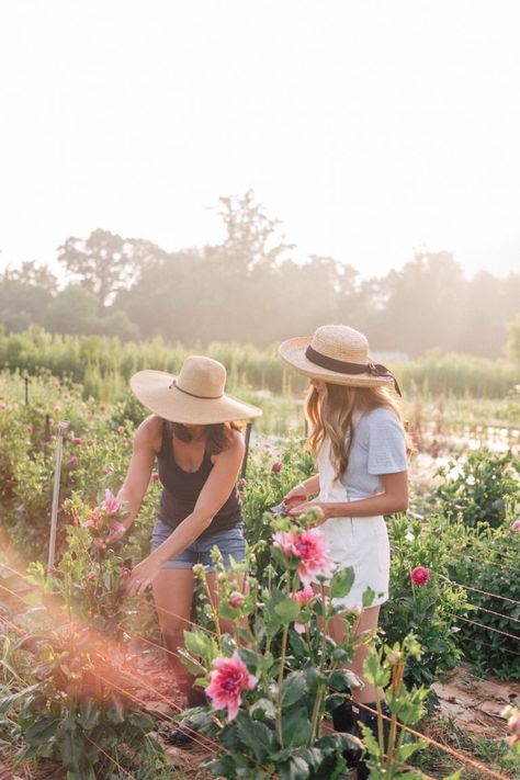 Pick Your Own Flowers Farms, Working In The Garden, Flower Farming, Cut Flower Farm, Farm Lifestyle, Flower Truck, Julia Berolzheimer, Farm Photo, Flower Farmer