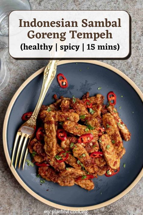 Indonesian Sambal Goreng Tempeh Tempeh Recipes Indonesian, Indonesian Food Vegetarian, Vegan Indonesian Food, Authentic Indonesian Food, Vegan Indonesian Recipes, Indonesian Appetizer, Balinese Recipes, Balinese Recipe, Tempeh Recipes Vegan